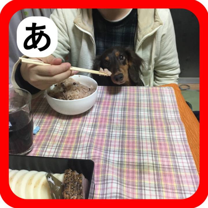 A7ec541e 604a 4058 8a18 14950811e127 1514975393461