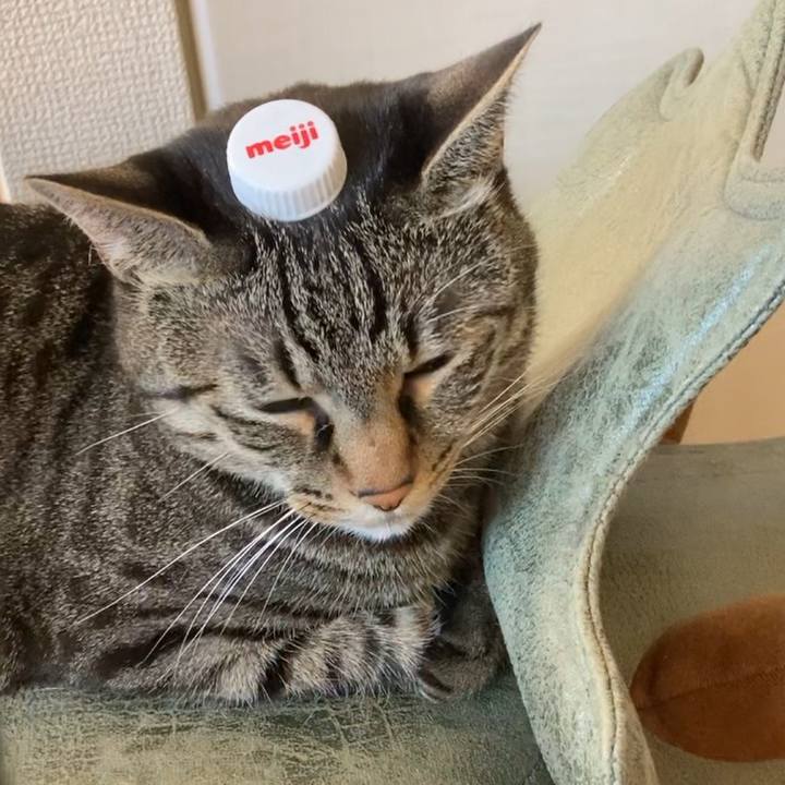 A7ec5dce f284 40ff 950b f243ca0e6189 1606356364167