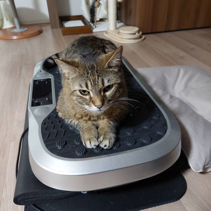 A7ec65f7 f4ee 4479 a2db 99522e0fbf96 1649194856240