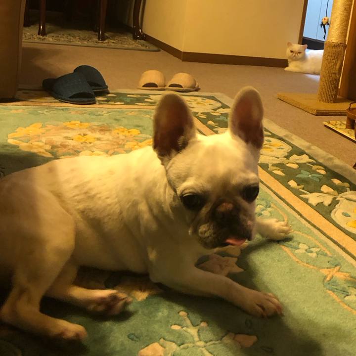 A7ec8e44 194e 49b7 830f db6cc0effe29 1686578773488