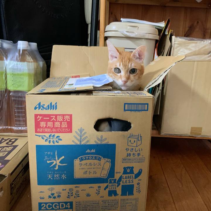 A7eccd18 5138 4706 8ca3 0e4cbd6e0a89 1628466137382