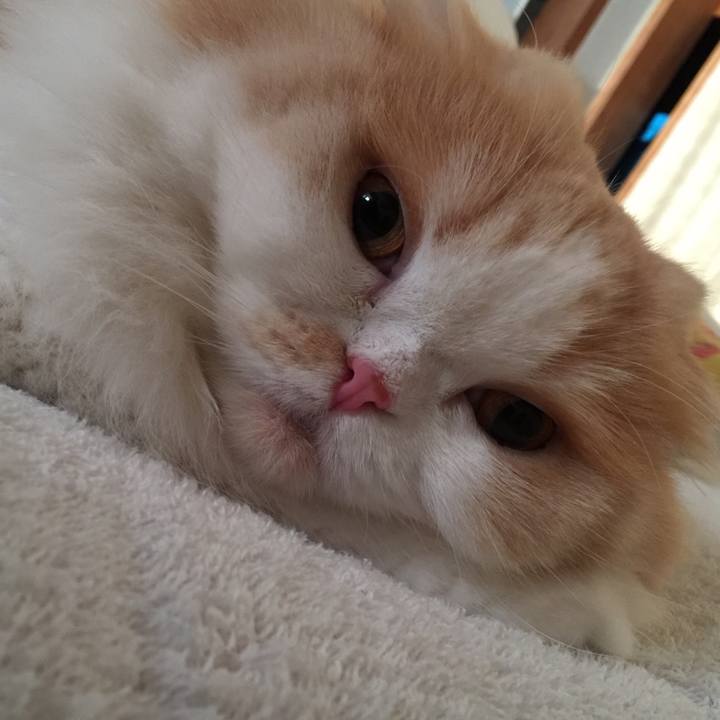 A7ed041e 7eb5 4cac 95b9 5e9f0355d00c 1564780129137