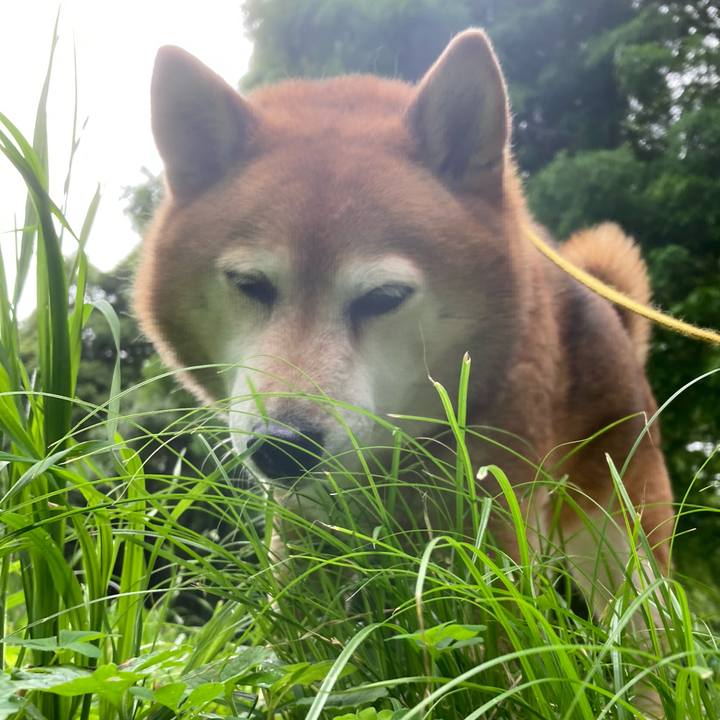 A7ed0d18 6c11 4fdf 861b fbd937237bb7 1655873195438