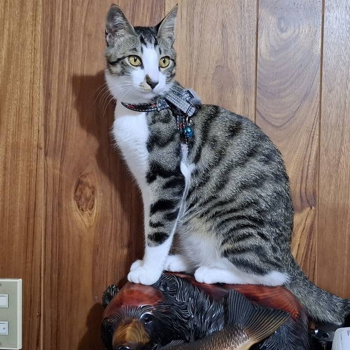 A7ed176f 5068 42d9 89c1 5707a71dc239 1747884340799