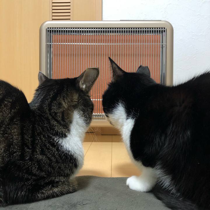 A7ed17af 310b 4ad3 9884 990b5ea1ca01 1545658234017