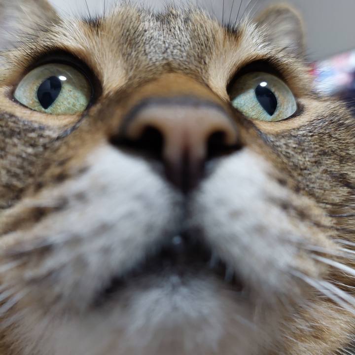 A7ed3c2e 7ab4 4928 9b04 af4fd92890c1 1630584342870