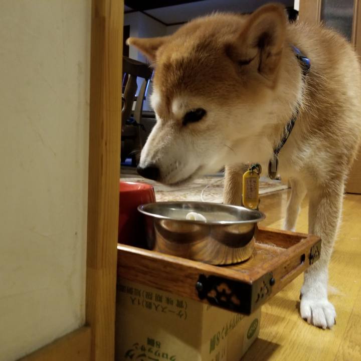 A7ed60d4 584a 4a22 9726 08a7c75747bf 1564309988807