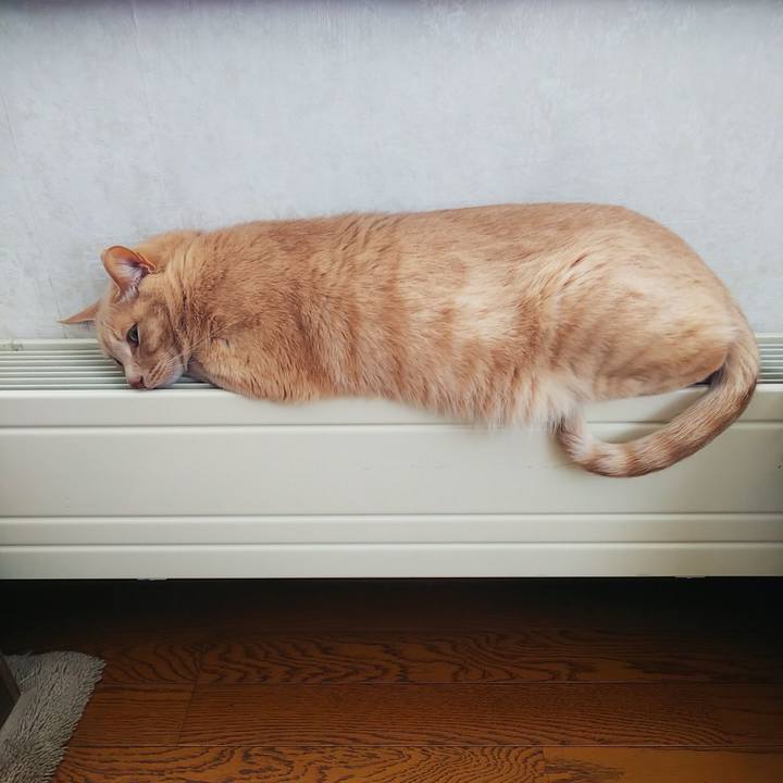 A7ed72c6 18a8 47dc 8d00 7435cd7a6d49 1671847880241