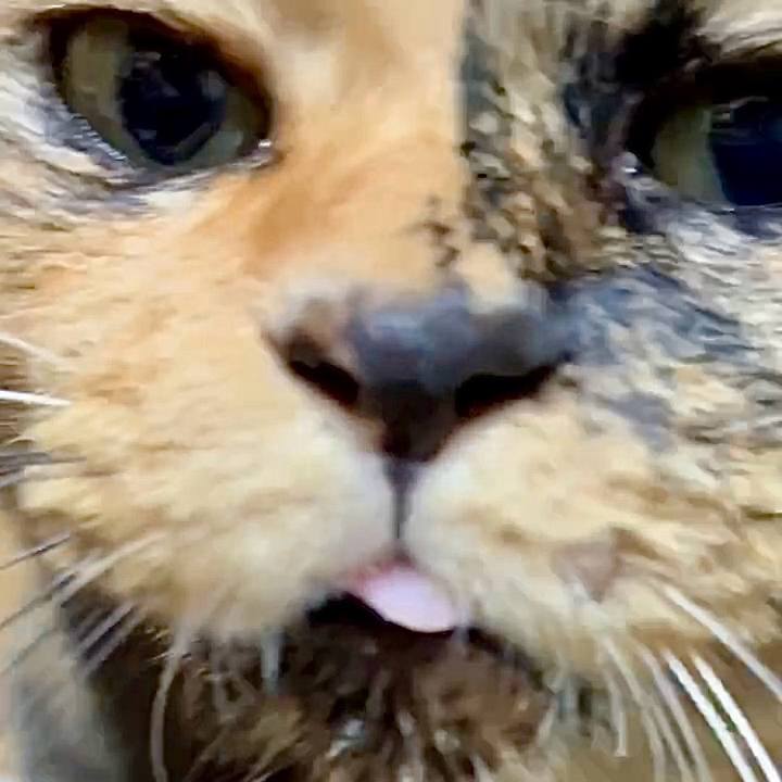 A7ed7c76 ec0f 44d2 b8ff 19563bb1c647 1759198016232