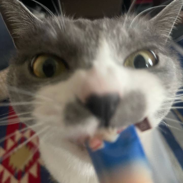 A7edde1f 1275 4211 bae6 52e6f70e8ce0 1681374517506