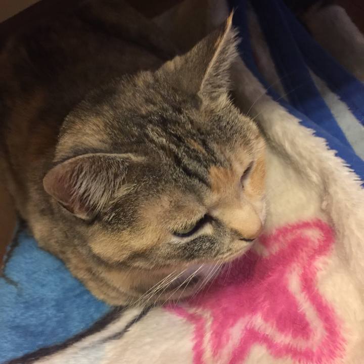 A7edf61f 4338 4f93 9683 3a6ef78bb786 1560008151800