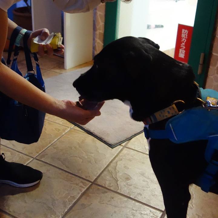 A7edfe52 722a 48a8 bcd4 3cfd3f7f0cb7 1627730064485