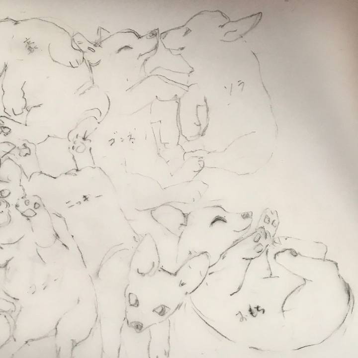 A7edff89 593f 462c 9b5b 49fd07aff687 1610983106011