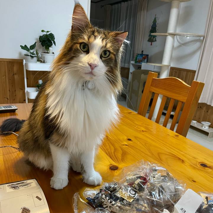 A7ee26e4 d7ca 48fc b477 6ad03bbf6b9d 1669803619854