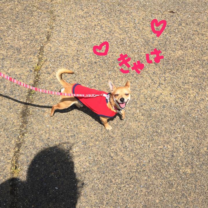 A7ee58a1 8045 4a27 9c23 d0b57f2726f1 1525512038609