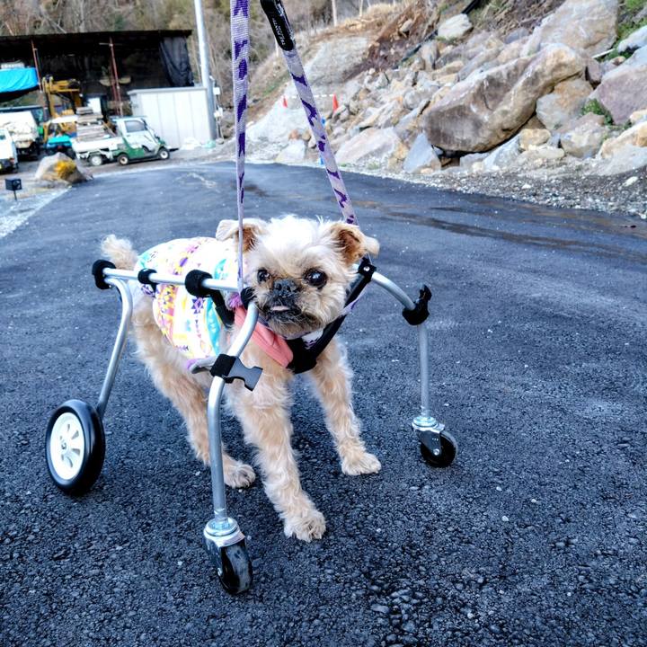 A7ee888c 3189 4483 a6eb 8293f2eefe81 1743977546234