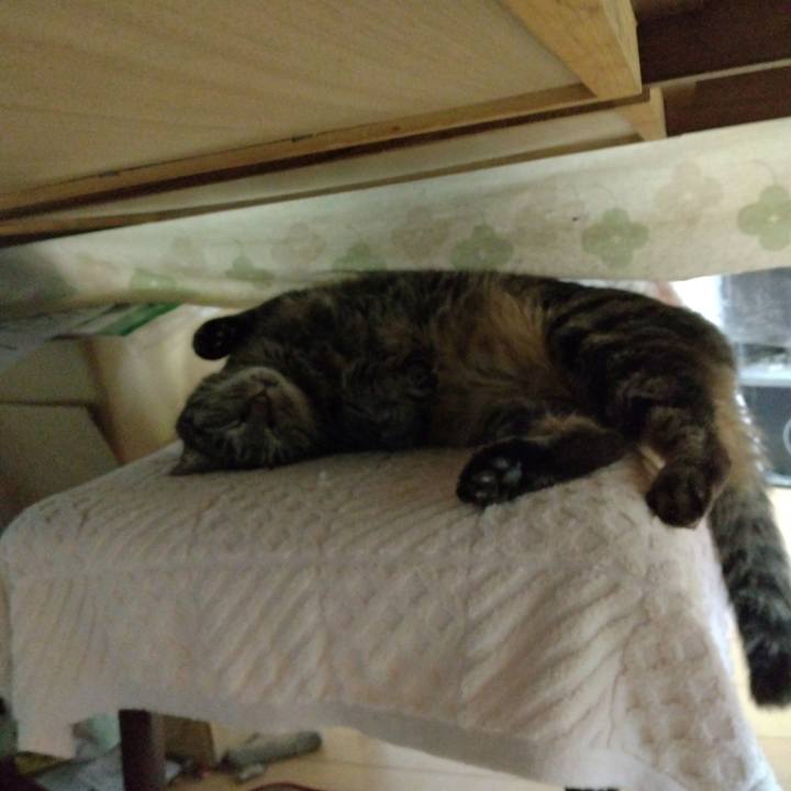 A7ee9d7d c4b6 4ddd 888e a138f76acd23 1675048371566