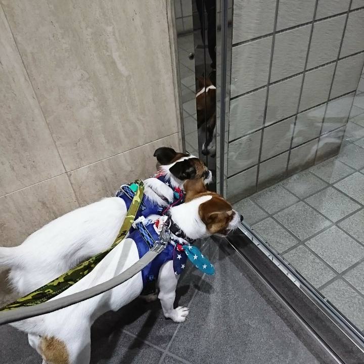 A7eebdb7 fdd4 4a44 9cc7 b5c461a59ff9 1532435434669