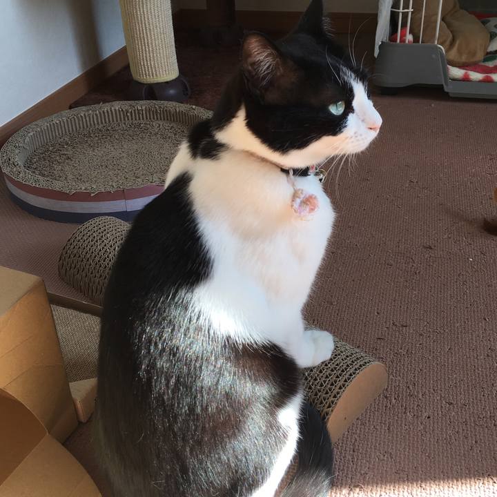 A7ef3072 5836 4671 86c8 a4c199cc99c7 1519177163808