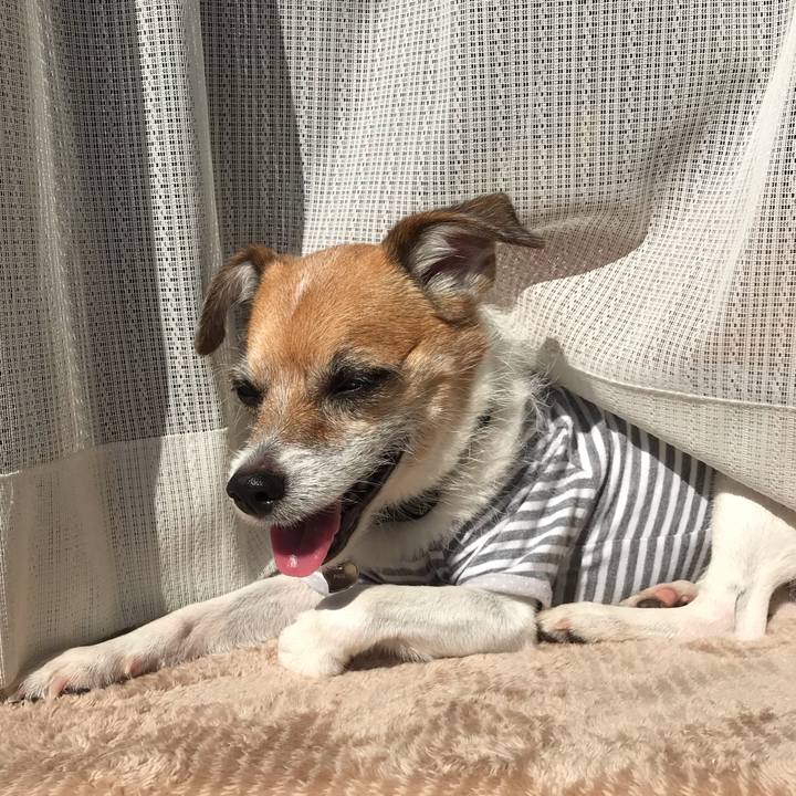 A7ef4963 0b08 4531 b649 3b17a5688337 1541223115358