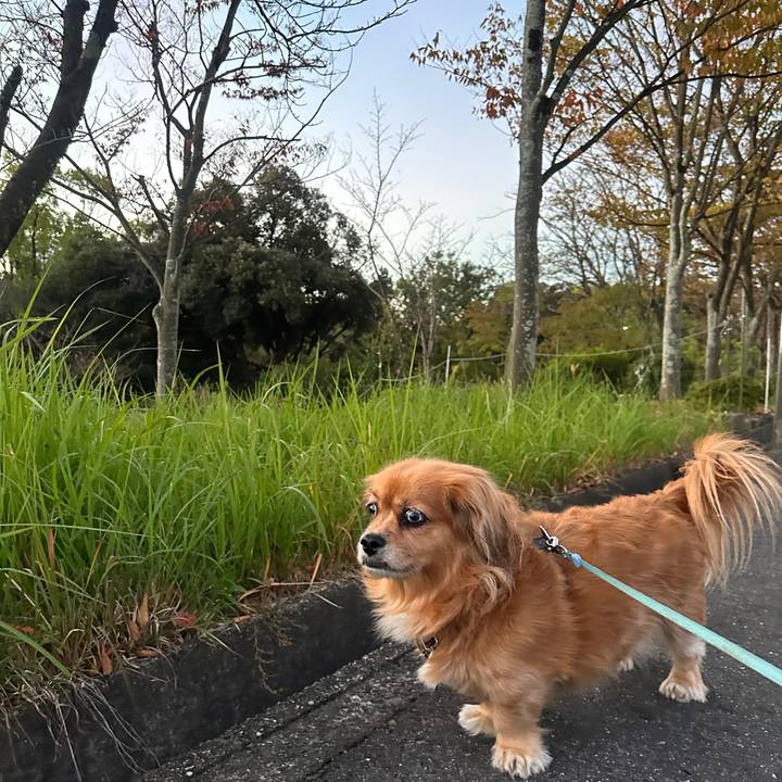 A7ef5289 cdf1 4b2c 8877 2c59952313eb 1699392265691