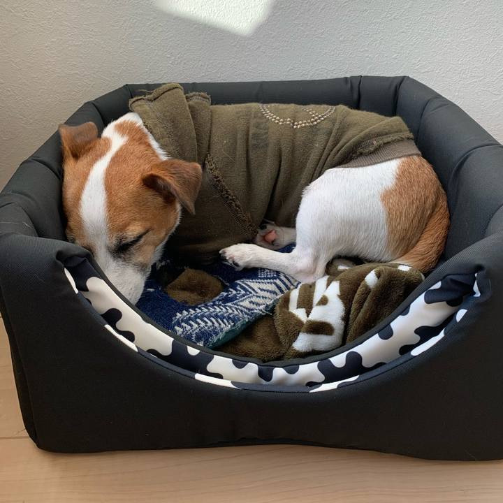 A7ef93ac f2c4 4afb 8467 037778dae822 1572588743822