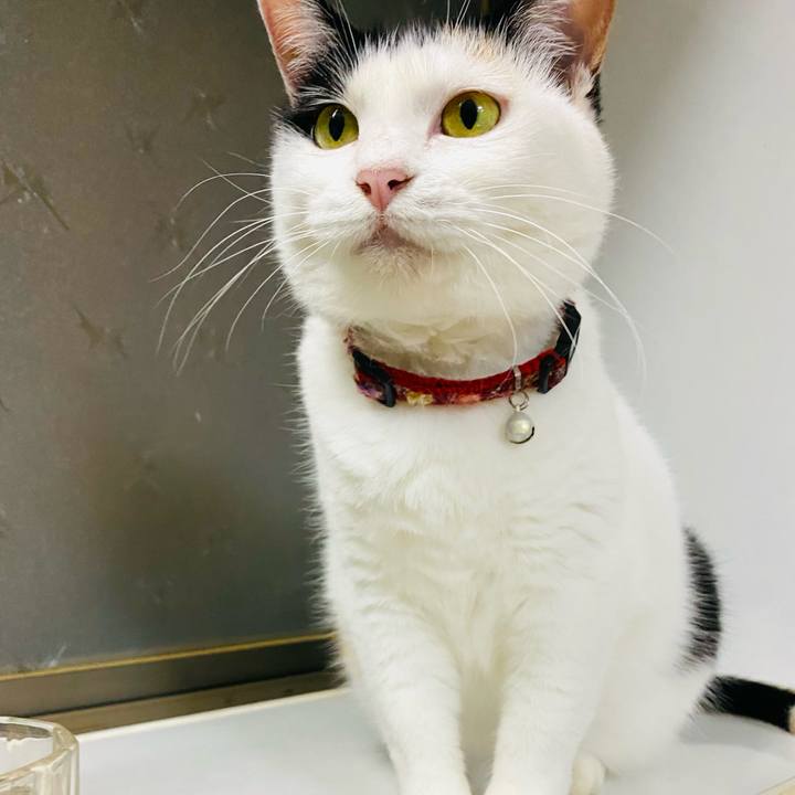 A7efeedf 14bf 40b6 bac5 795197579a3d 1690381310275