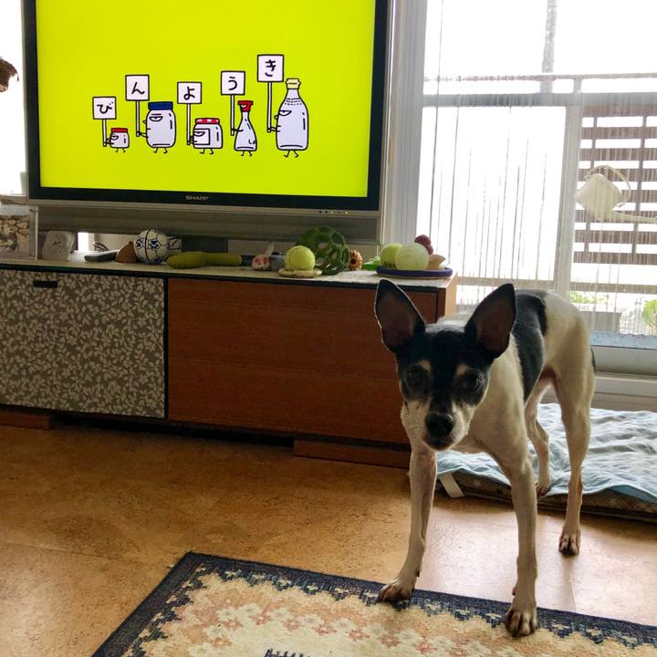 A7f0290d d55f 4411 9a67 f4090a8a0725 1562885562365