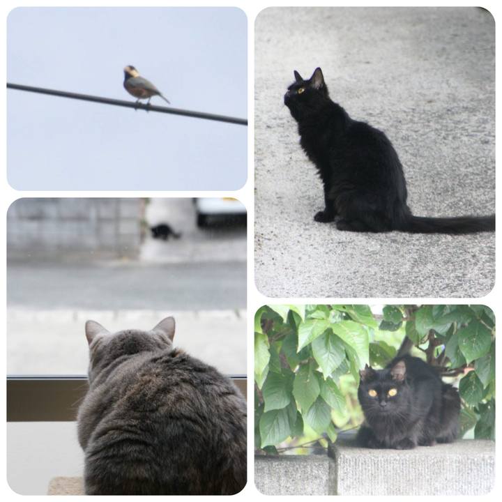 A7f03bda 9520 40f0 9a33 da8762938e9b 1536824456255