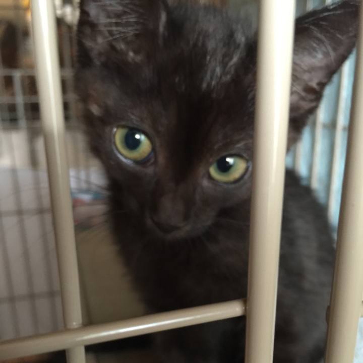 A7f05186 c346 421b bba1 38d49c11e166 1531290269194