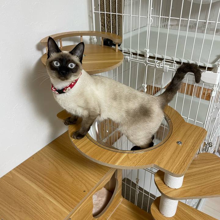 A7f059dc 7e4a 4e2f a18d c1e7f0d838ac 1709495963992