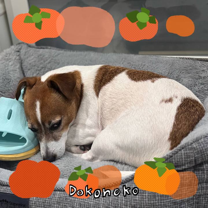 A7f06dd9 96b2 4db6 bc21 f6449811e0db 1762770681277