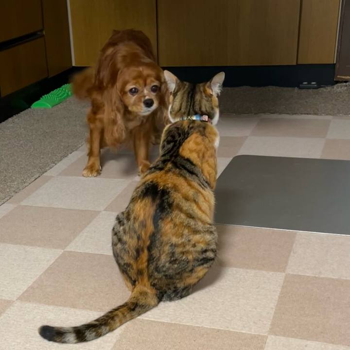 A7f07c94 e482 4980 aa8f b51aa202e9b2 1685312318440