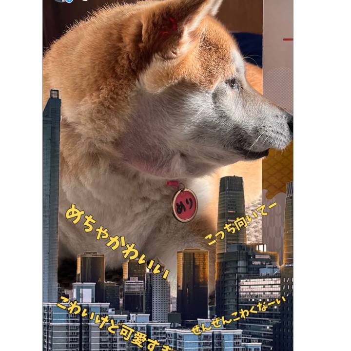 A7f0a24e 13d6 49dc a224 fd932812e30c 1706264474298