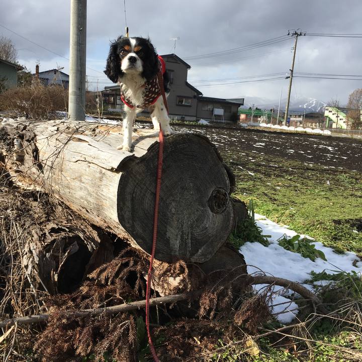 A7f0a4dd f4b6 4f6e 9949 aa2abaa67423 1512012679255