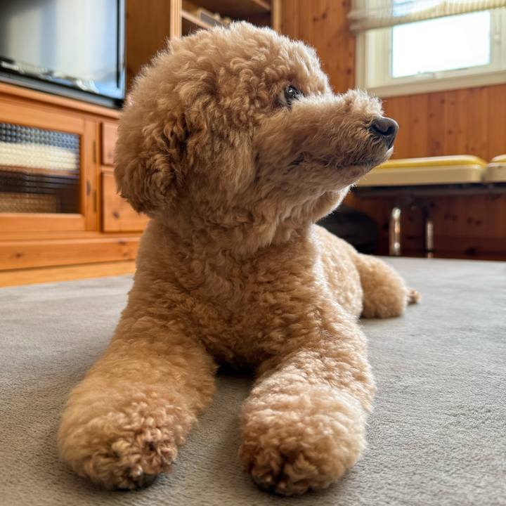 A7f0ab6b aece 433e ae84 95a1479d8a2f 1772405516879