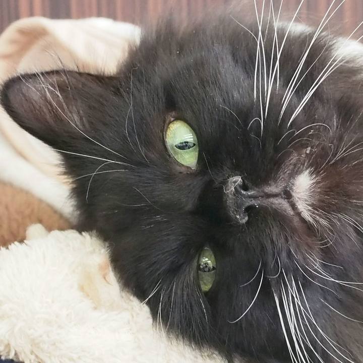 A7f0be82 6d7f 4fc1 a8a9 de8f5cb0e63d 1519223012186