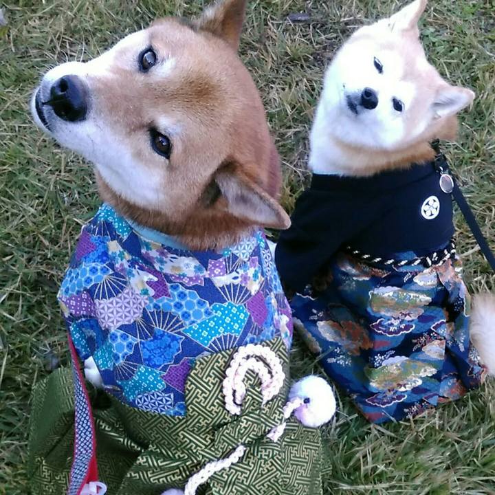 A7f0cfab e06f 4d94 bb03 1ba100f72517 1573904441874