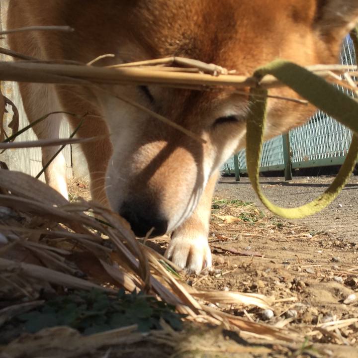 A7f0dced 9bed 4bb3 9206 bd3e3fb7169d 1608533083688