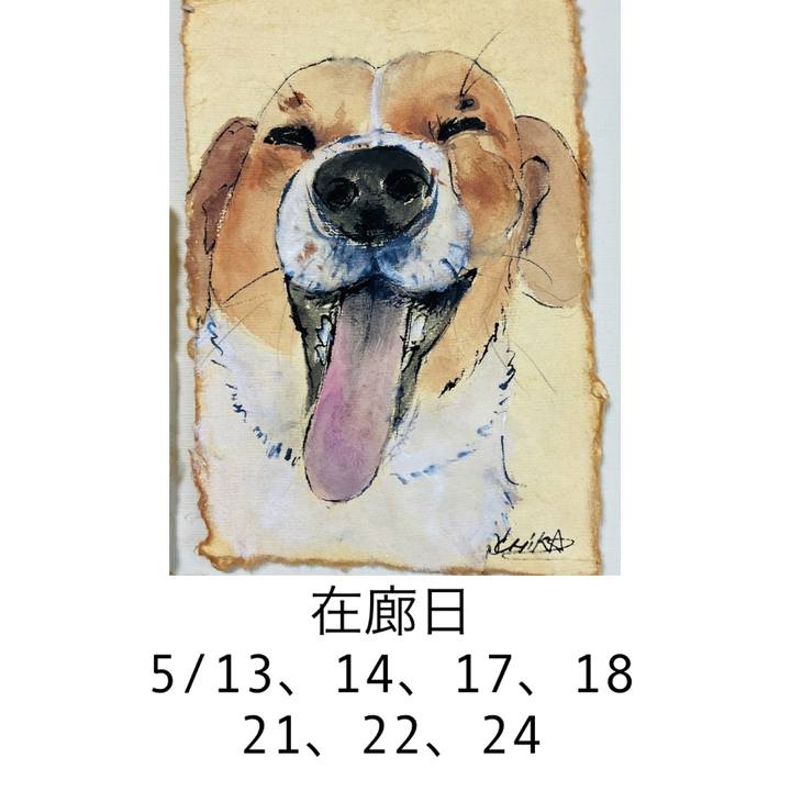 A7f1308c 0ad2 419b 8c14 31bf0cc56822 1746764315459