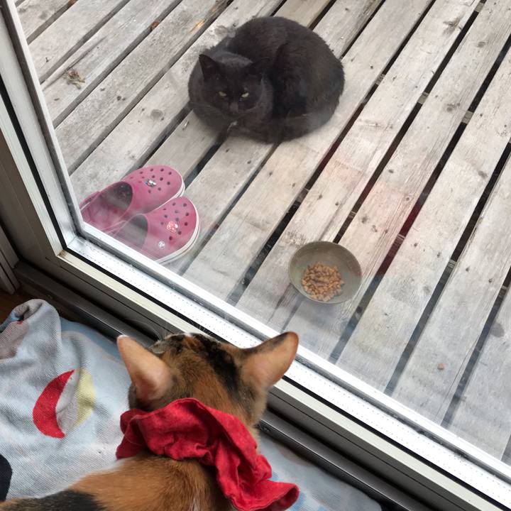 A7f14005 deeb 4e30 b120 da493fe3bb77 1623792658404