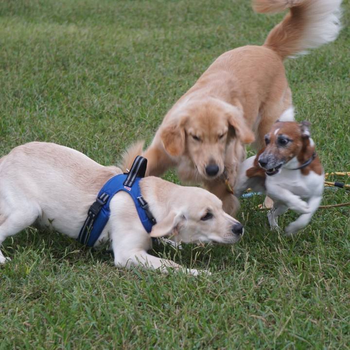 A7f161de 1b21 49f1 8f03 232efcc089d2 1607642102028