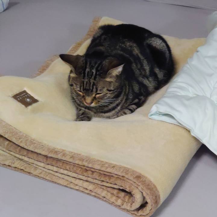 A7f192e9 72c1 4367 9225 59ced511c6bd 1607898993523