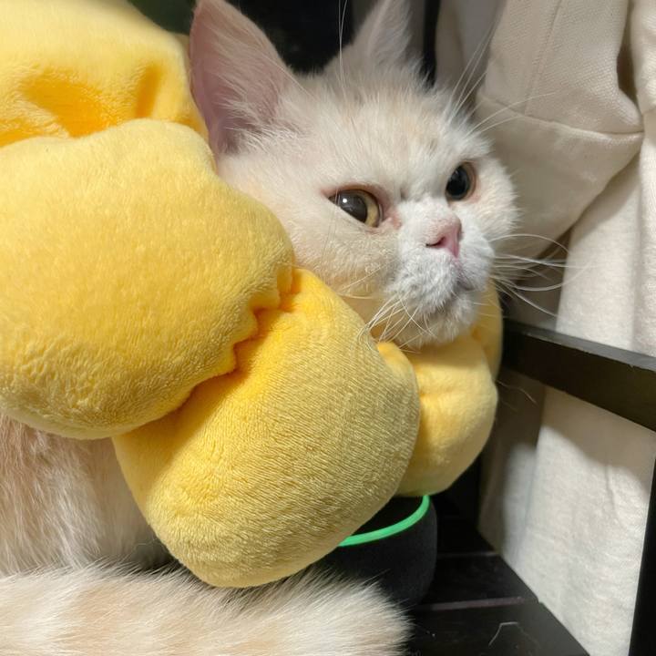 A7f19fbd ab60 437c a632 33fb199d823a 1767076682686