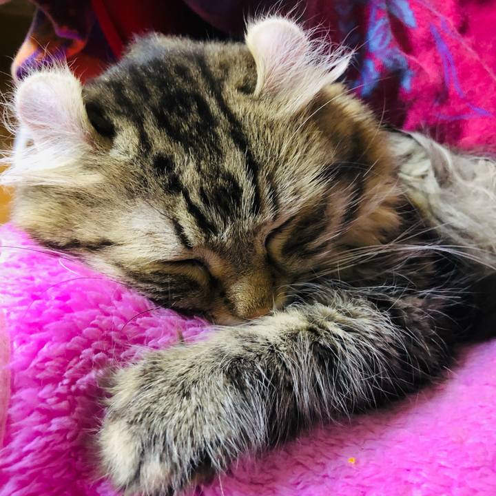 A7f1a406 f89d 4df5 862d 732954e5096d 1614923113337