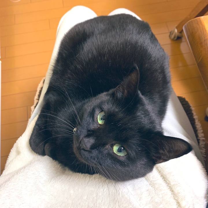 A7f1a432 4271 4e61 a3f6 467124abfb25 1575292075129