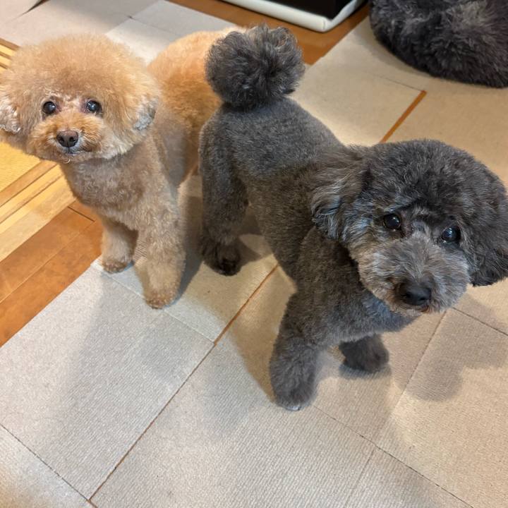 A7f1a802 eebe 449b b20d 406b0bc3fe0a 1760950481612