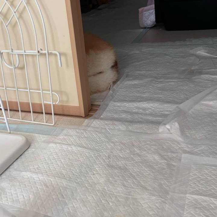 A7f1b439 8a8d 40db 955a 813422056bab 1749771624432