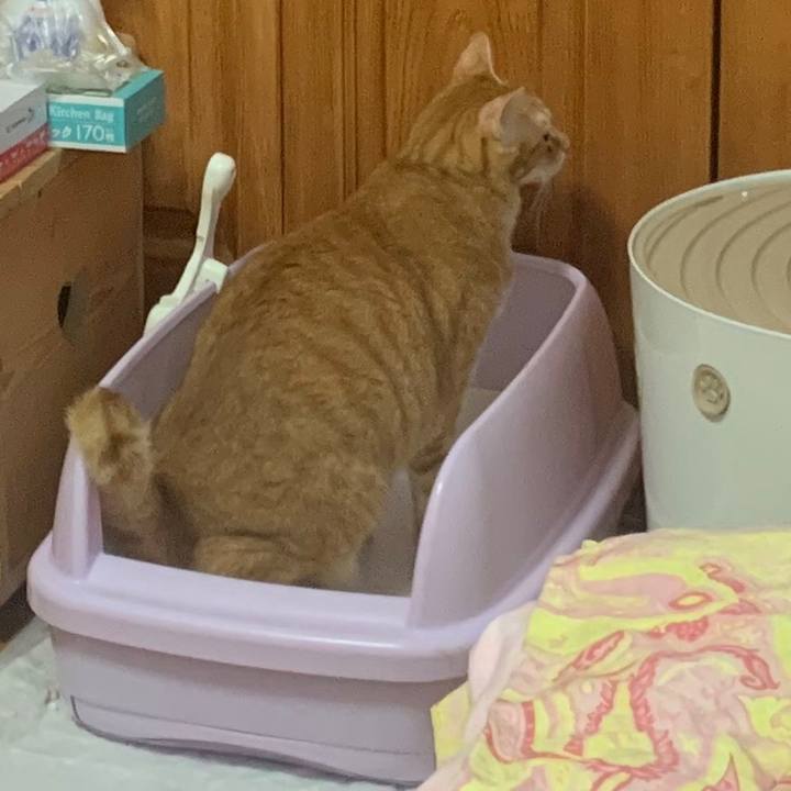 A7f1b564 0b00 432d b7f1 4137f73517b9 1566121418574