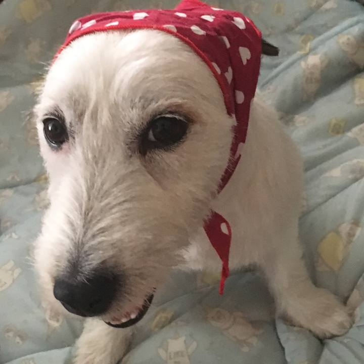 A7f1de9f 7f61 49ee 8b18 0e5ed920c070 1532334794292